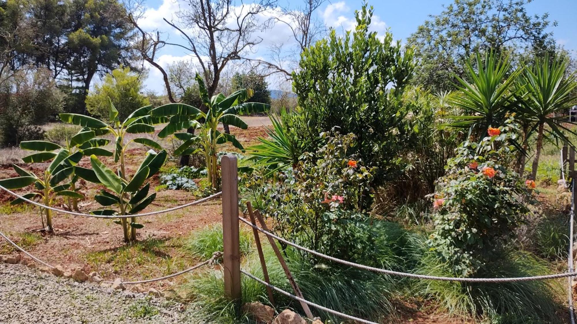 Casa Morna Ibiza Farm stay Sant Carles de Peralta