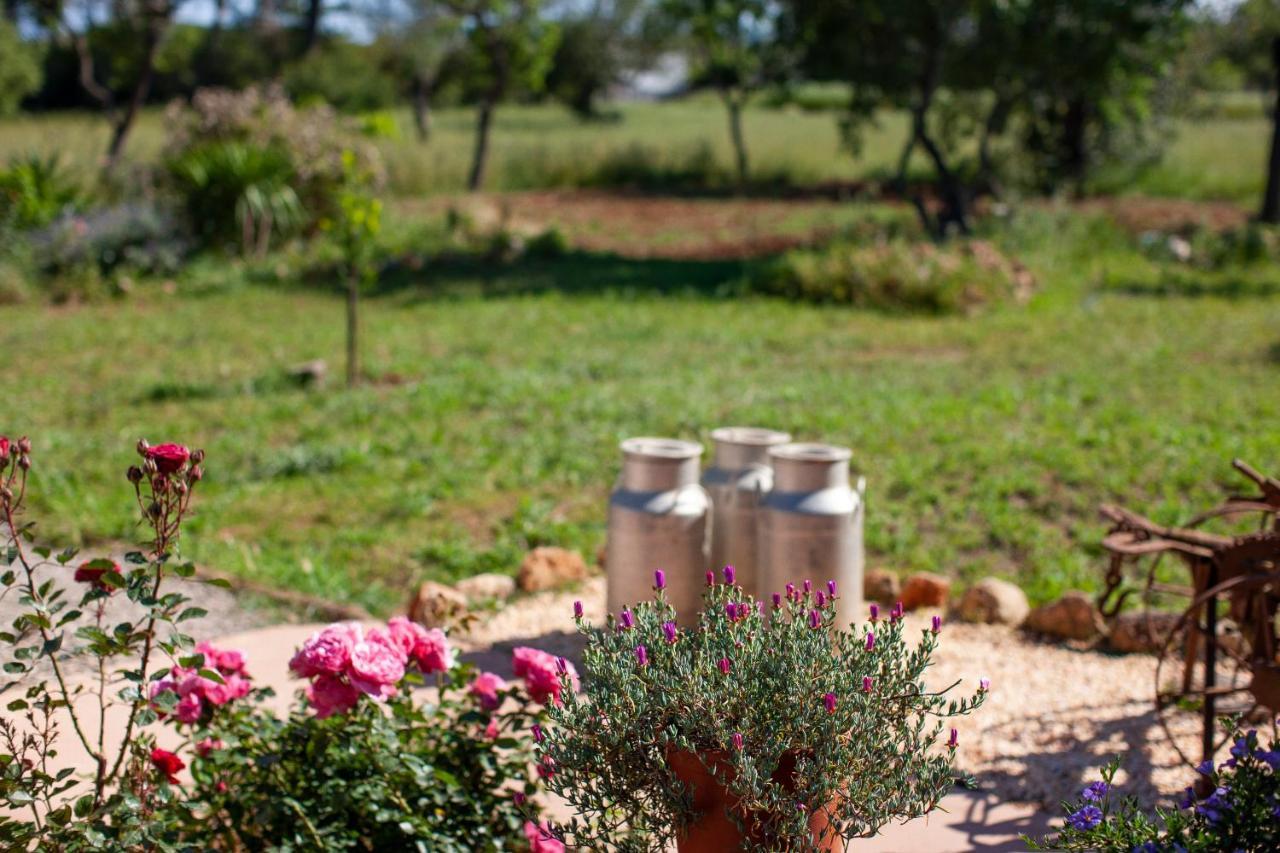Vakantieboerderij Casa Morna Ibiza